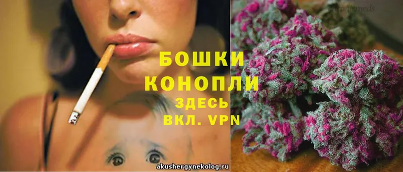 Бошки марихуана OG Kush  Афипский 